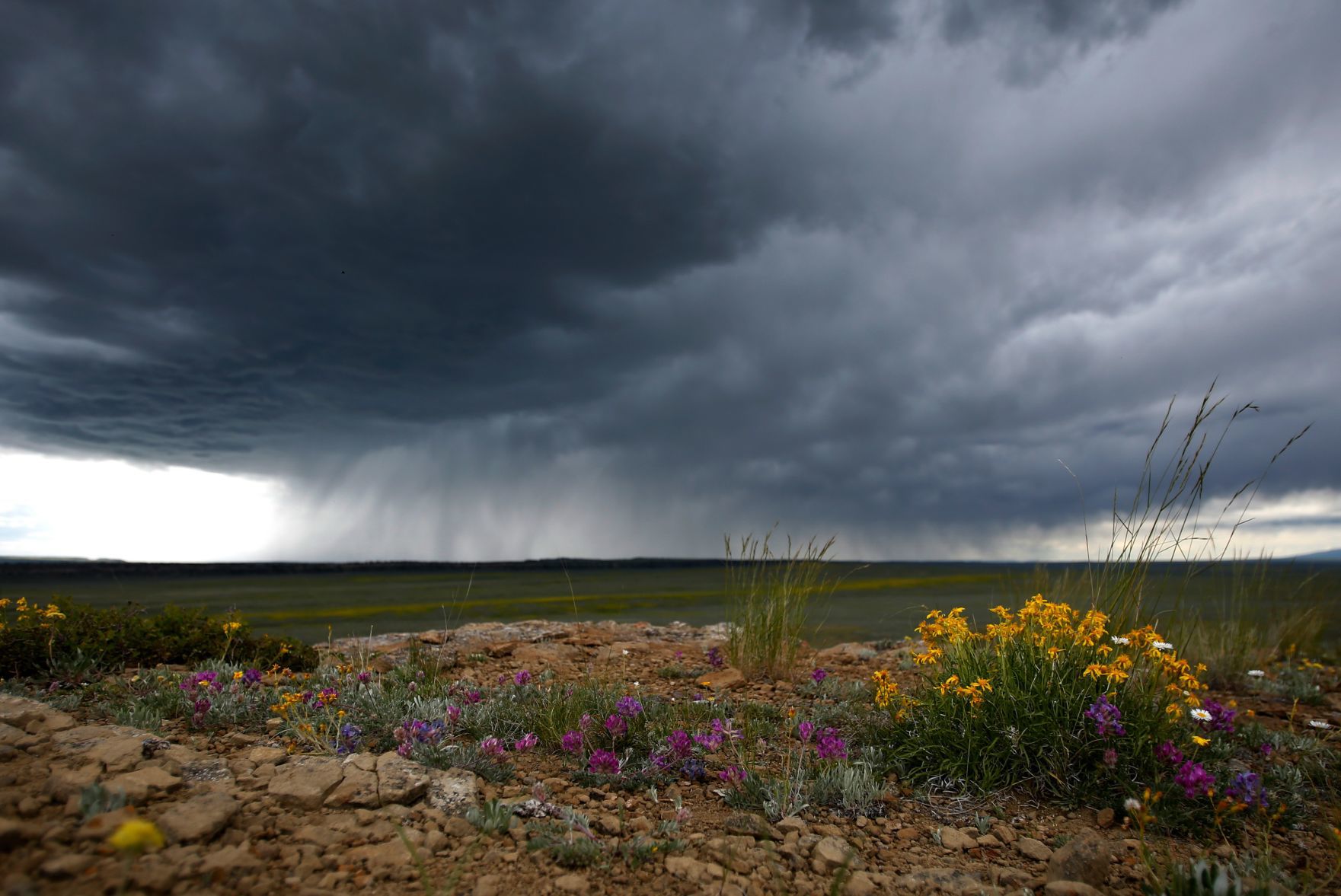 Storm
